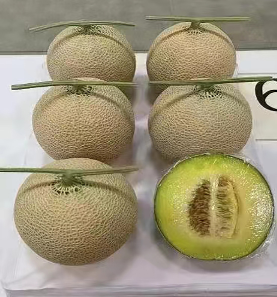 用戶反饋