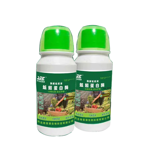 蚯蚓酶解液